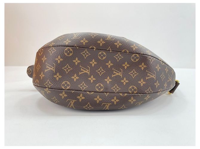 Louis Vuitton x NIGO Duck Bag Shoulder Marrone - vista 5
