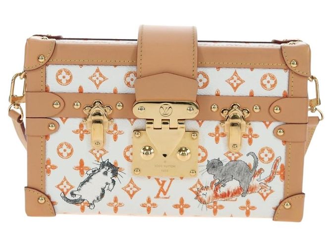 LOUIS VUITTON Borsa a tracolla Catgram Petite Mar White M44407 LV Auth 197522SM Bianco Monogramma - vista 13