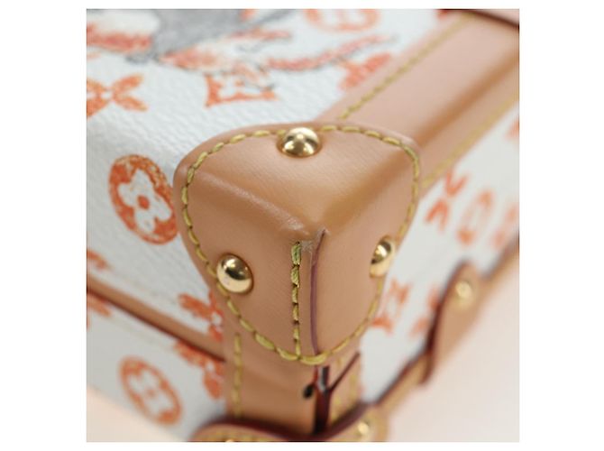 LOUIS VUITTON Borsa a tracolla Catgram Petite Mar White M44407 LV Auth 197522SM Bianco Monogramma - vista 15