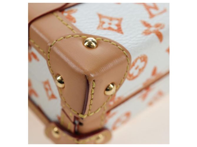 LOUIS VUITTON Borsa a tracolla Catgram Petite Mar White M44407 LV Auth 197522SM Bianco Monogramma - vista 16