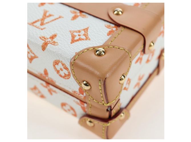 LOUIS VUITTON Borsa a tracolla Catgram Petite Mar White M44407 LV Auth 197522SM Bianco Monogramma - vista 17