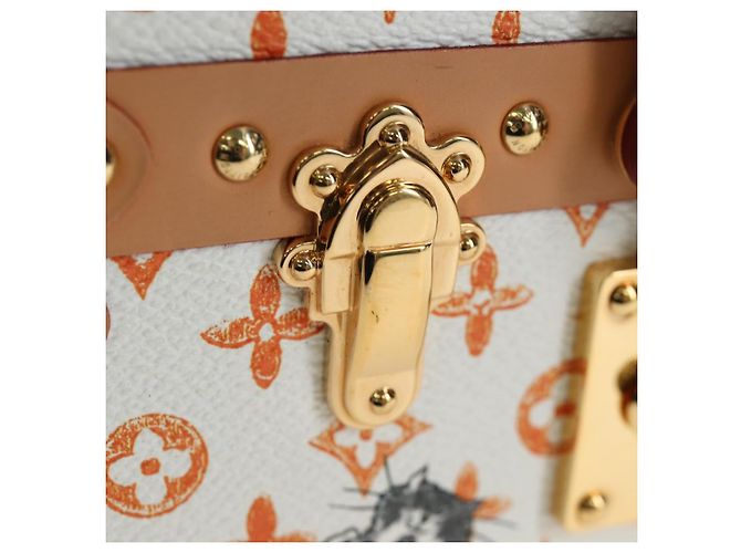 LOUIS VUITTON Borsa a tracolla Catgram Petite Mar White M44407 LV Auth 197522SM Bianco Monogramma - vista 22