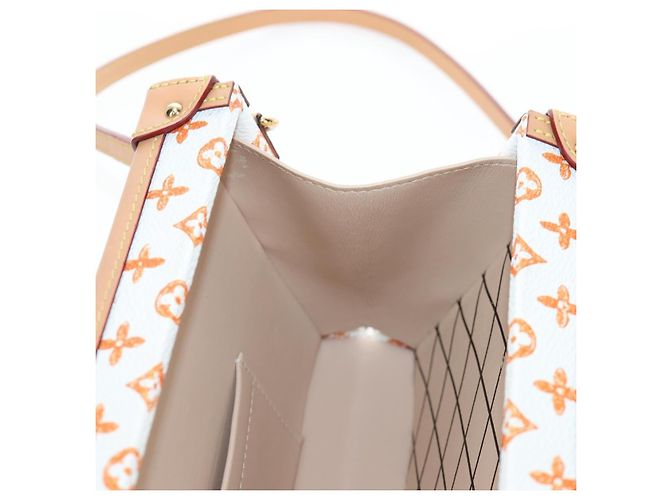 LOUIS VUITTON Borsa a tracolla Catgram Petite Mar White M44407 LV Auth 197522SM Bianco Monogramma - vista 29