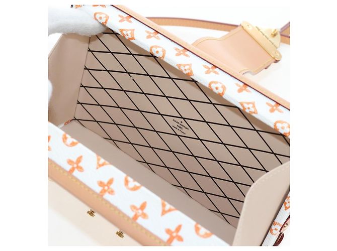 LOUIS VUITTON Borsa a tracolla Catgram Petite Mar White M44407 LV Auth 197522SM Bianco Monogramma - vista 30