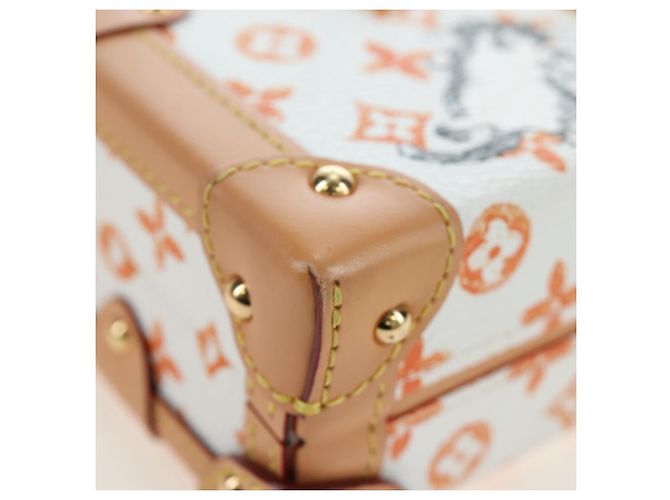 LOUIS VUITTON Borsa a tracolla Catgram Petite Mar White M44407 LV Auth 197522SM Bianco Monogramma - vista 9