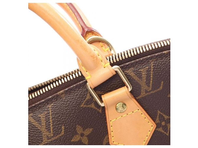 Borsa a mano Louis Vuitton Alma PM Monogram Marrone - vista 11
