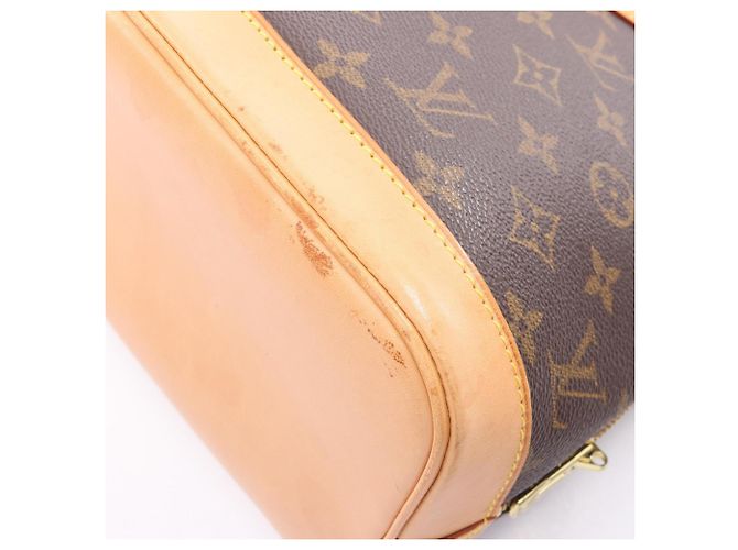 Borsa a mano Louis Vuitton Alma PM Monogram Marrone - vista 7