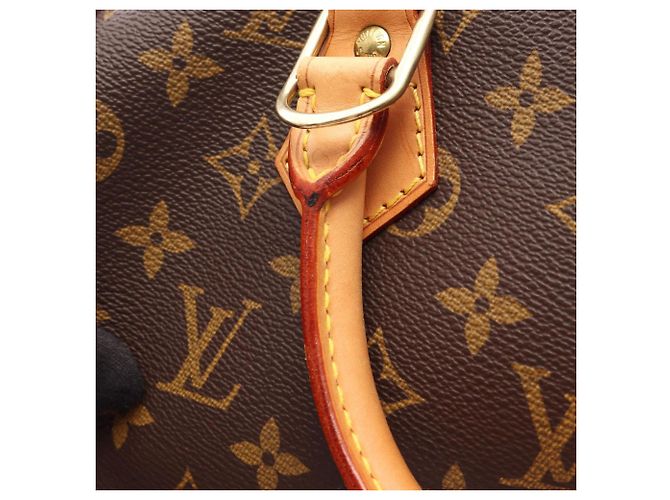 Borsa Louis Vuitton Alma PM Monogram Marrone - vista 13