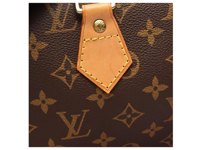 Borsa Louis Vuitton Alma PM Monogram Marrone - vista 14