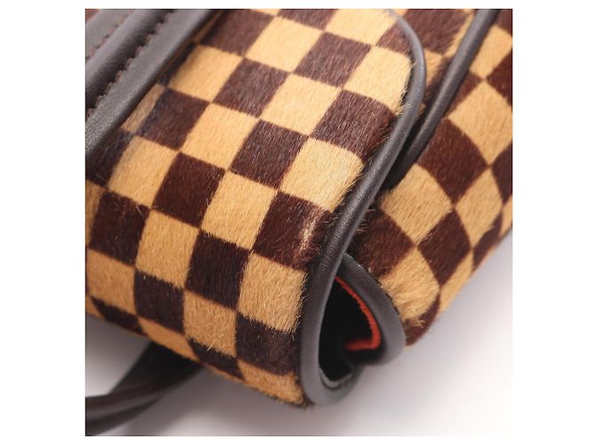 Borsa Louis Vuitton Lion Damier Sauvage Marrone - vista 10