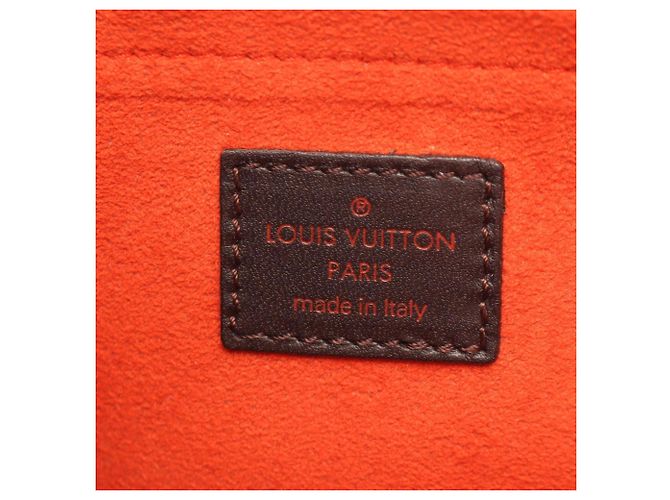 Borsa Louis Vuitton Lion Damier Sauvage Marrone - vista 4