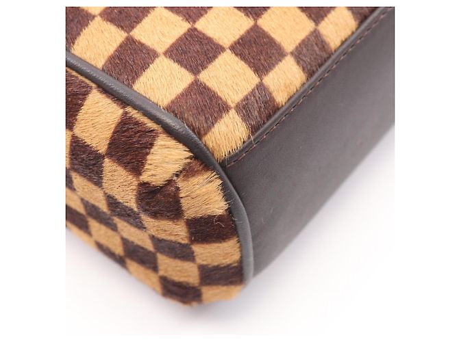 Borsa Louis Vuitton Lion Damier Sauvage Marrone - vista 6