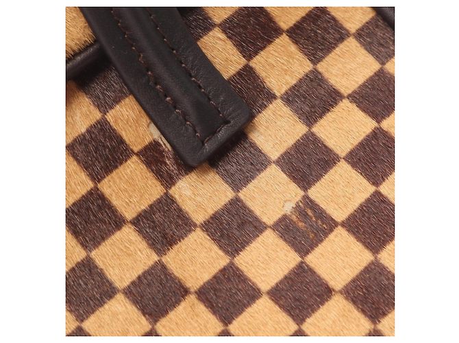 Borsa Louis Vuitton Lion Damier Sauvage Marrone - vista 9