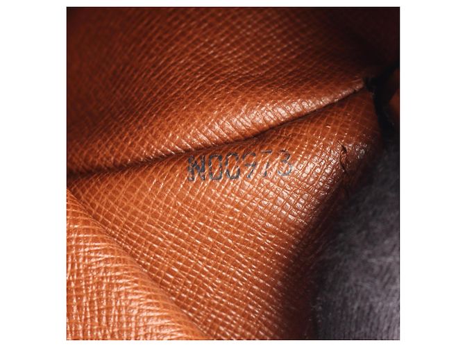Borsa Louis Vuitton Papillon 26 Monogram Marrone - vista 5
