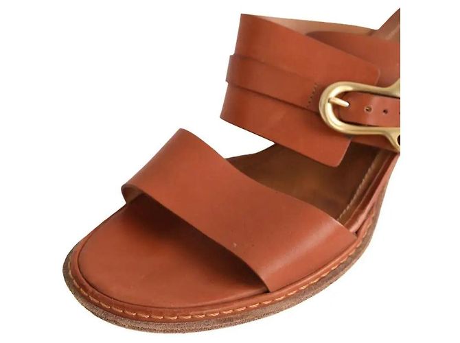Sandali Sartore in pelle camel Cammello - vista 5