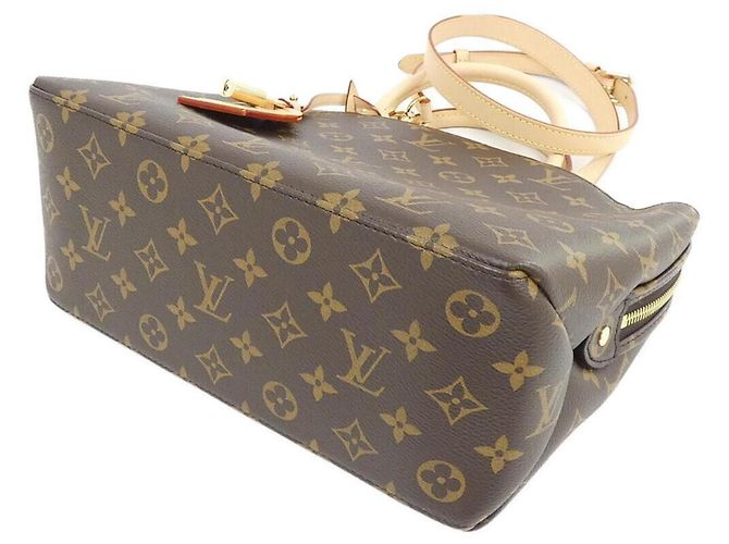 Borsa Louis Vuitton Monogram Petit Palais PM Marrone - vista 2