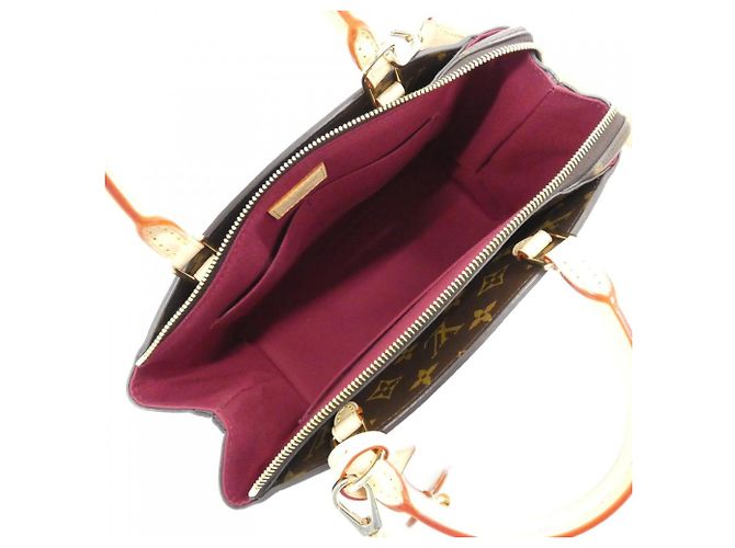 Borsa Louis Vuitton Monogram Petit Palais PM Marrone - vista 5