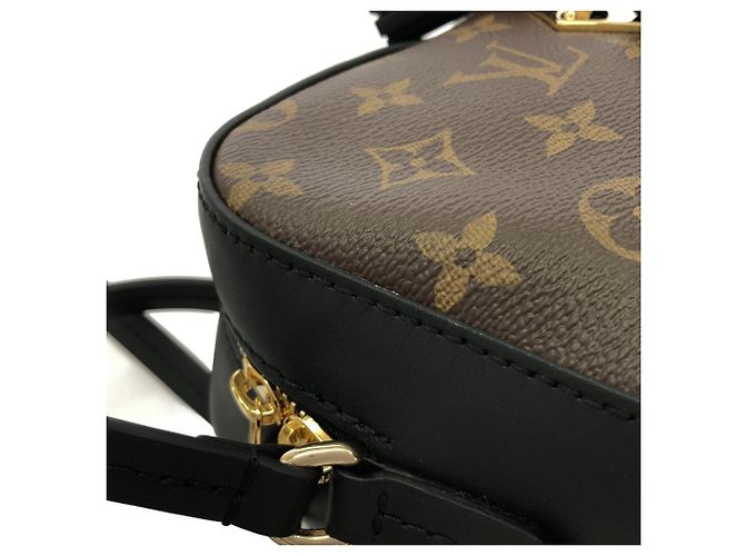 Borsa a tracolla Louis Vuitton Monogram Saint-Onge Marrone Nero - vista 5