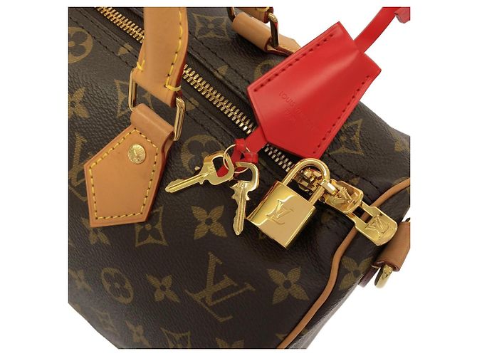 Borsa Boston Louis Vuitton Monogram Speedy Bandoulière Marrone - vista 4