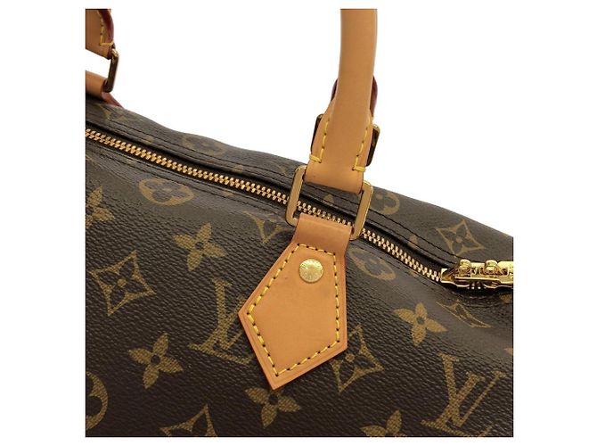 Borsa Boston Louis Vuitton Monogram Speedy Bandoulière Marrone - vista 6