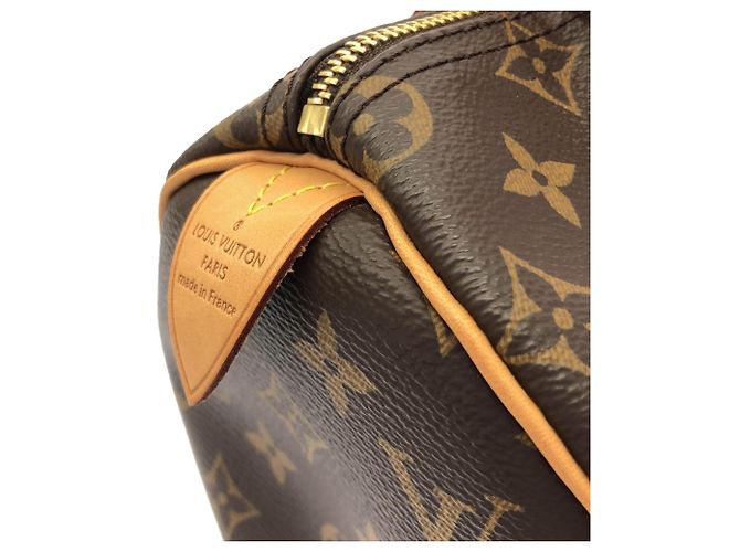Speedy Borsa Boston Monogram Louis Vuitton Marrone - vista 3