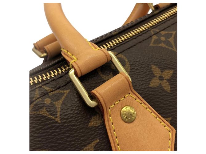 Speedy Borsa Boston Monogram Louis Vuitton Marrone - vista 4