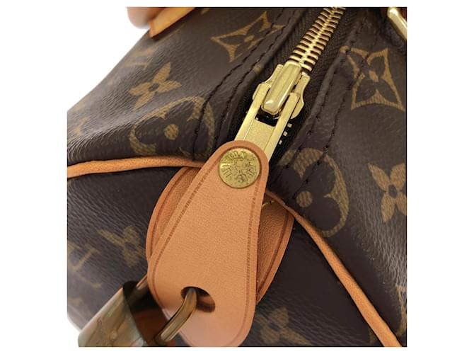 Speedy Borsa Boston Monogram Louis Vuitton Marrone - vista 5