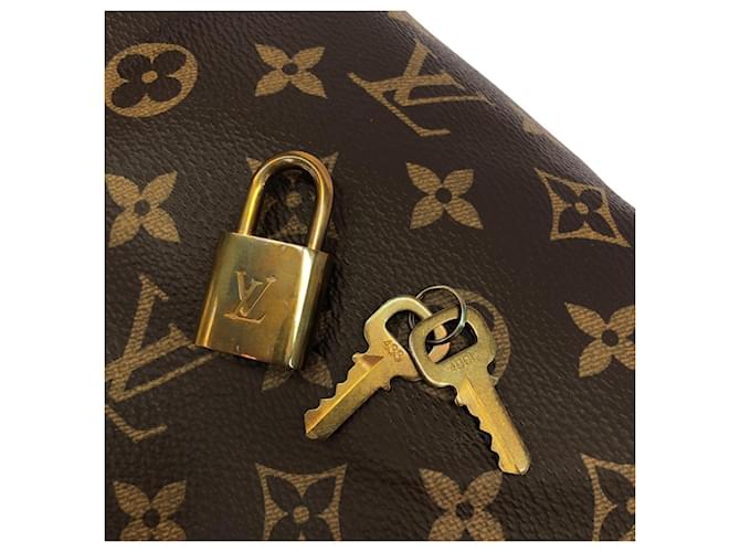 Speedy Borsa Boston Monogram Louis Vuitton Marrone - vista 6