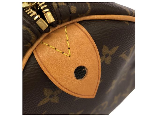 Speedy Borsa Boston Monogram Louis Vuitton Marrone - vista 7