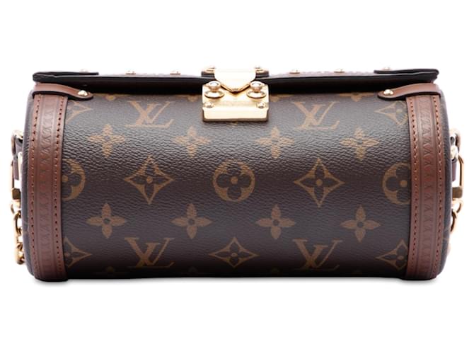 Louis Vuitton Brown Monogram Papillon Trunk Marrone - vista 3