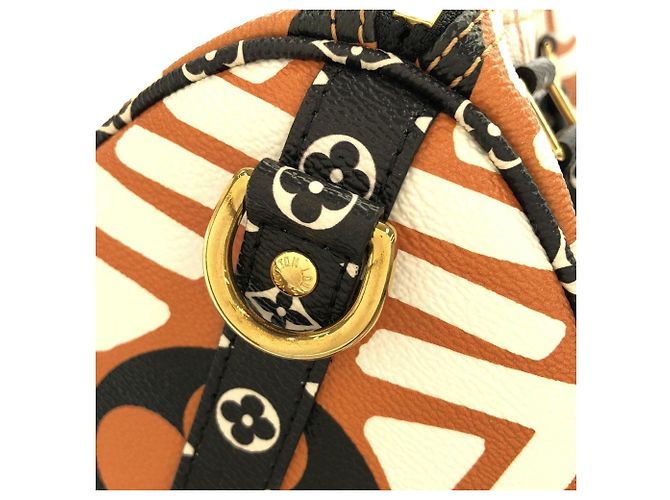 Louis Vuitton LV Crafty Speedy Bandoulière 25cm Boston Bag Crudo Caramello - vista 6