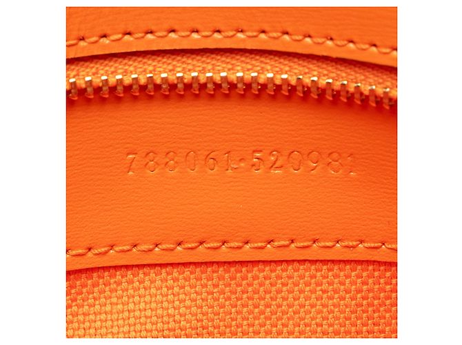 Bolso de hombro Small Gucci GG Canvas Luce Naranja - vista 6