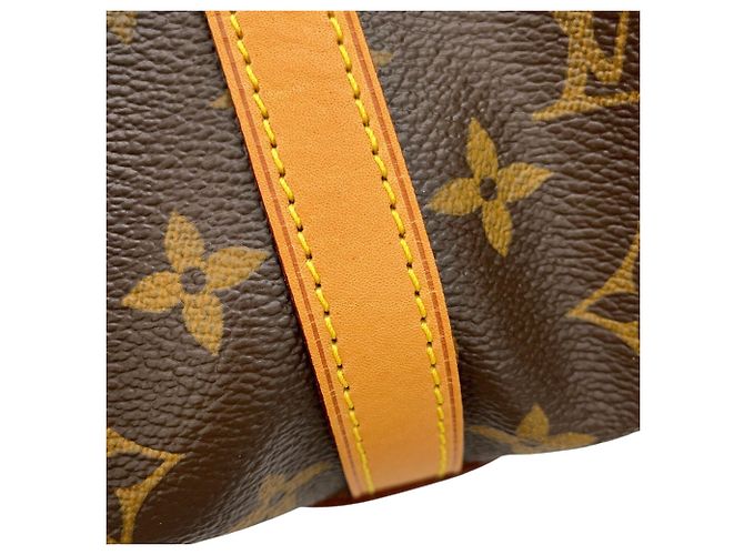 Borsa a tracolla Louis Vuitton Monogram Streza PM Marrone - vista 8