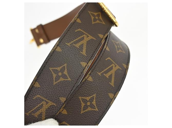 Louis Vuitton Papillon Trunk Monogram Canvas Marrone - vista 5