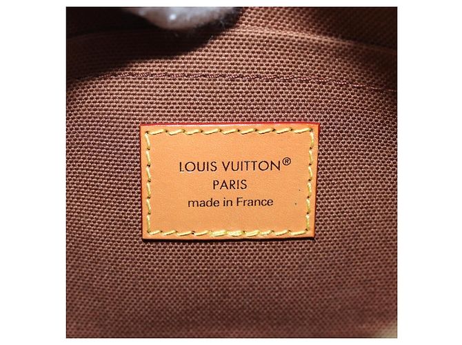 LOUIS VUITTON Monogram Mini Soft Trunk Shoulder Bag M14729 LV Auth 197514SAV Monogramma - vista 22