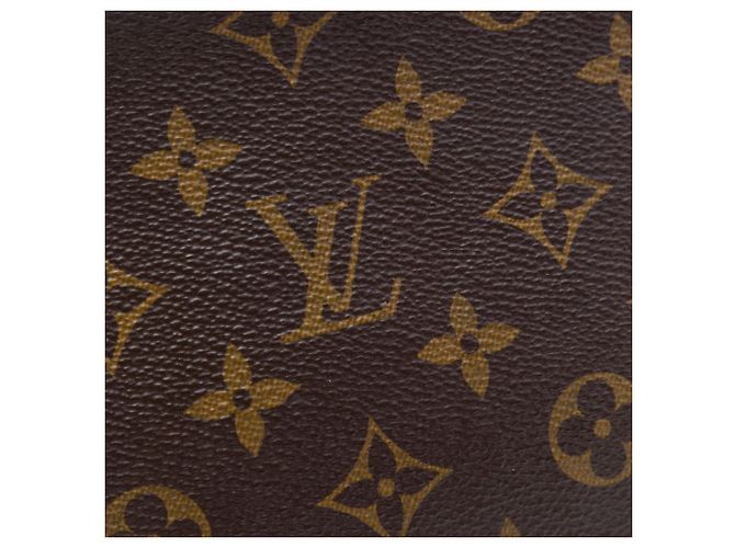 Borsa a pochette Louis Vuitton Monogram Toiletry Pouch 19 marrone - vista 5