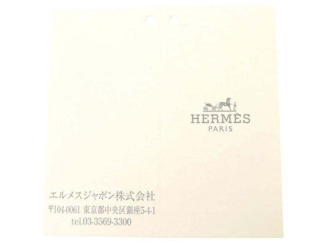 Borsa Vanity Hermès Large Toile Bride A Brac Cabriole Case Beige - vista 14