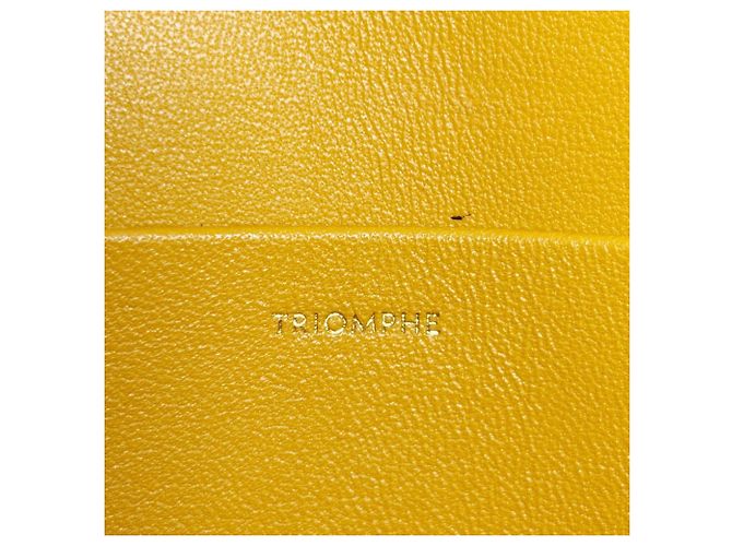 Céline Borsa a tracolla Celine Triomphe in pelle di vitello gialla Giallo - vista 13