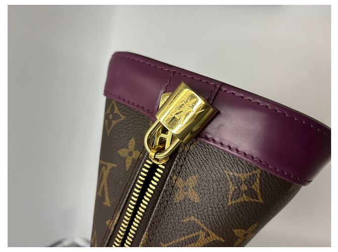 Louis Vuitton Alma Limited Edition Totem Monogram Canvas with Leather PM Multicolore - vista 6