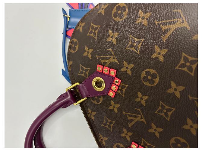 Louis Vuitton Alma Limited Edition Totem Monogram Canvas with Leather PM Multicolore - vista 7
