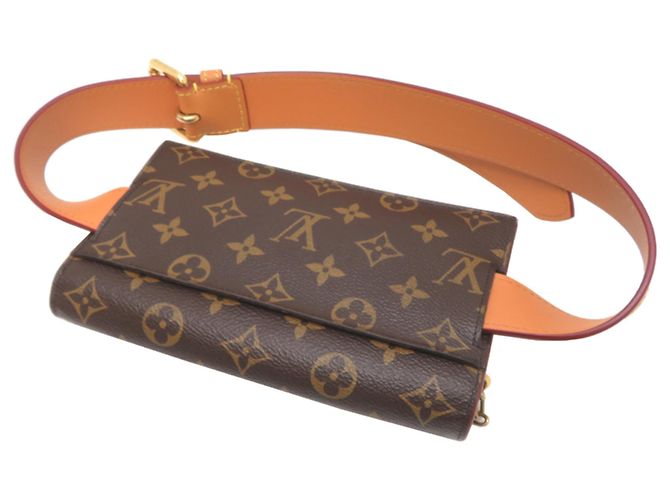 Pouch Cintura Louis Vuitton LV PM Marrone - vista 4