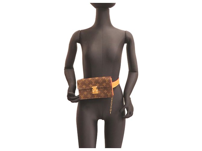 Pouch Cintura Louis Vuitton LV PM Marrone - vista 8