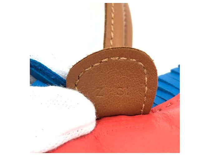 Hermès Hermes Rodeo PM Bag Charm Marrone Rosa Blu - vista 4