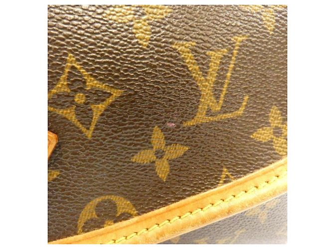Borsa a tracolla Louis Vuitton Monogram Sologne M42250 Marrone - vista 4