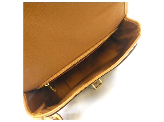 Borsa a tracolla Louis Vuitton Monogram Sologne Marrone - vista 9