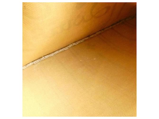 Borsa Louis Vuitton Monogram Neverfull PM Marrone - vista 9