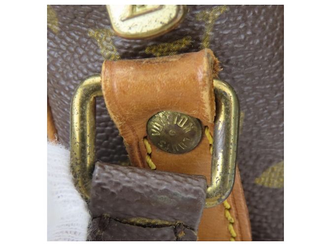 Louis Vuitton Amazon Schultertasche Braun - Ansicht 10