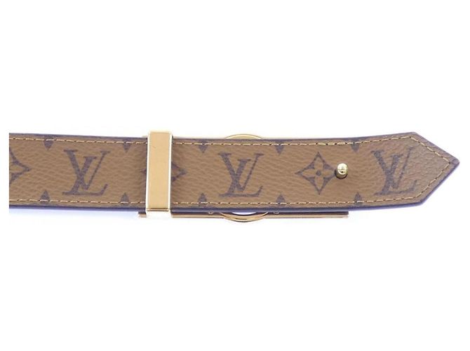 Louis Vuitton Dauphine 25mm Wendelgürtel Braun Schwarz - Ansicht 3