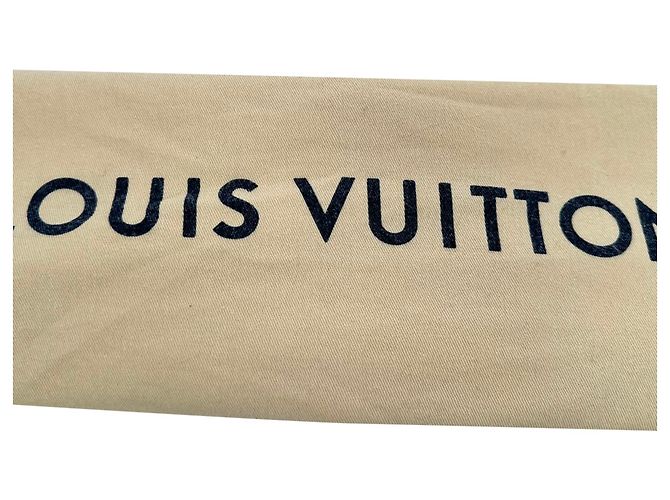 Borsa a tracolla Louis Vuitton Pochette Métis in canvas rivestito marrone Rosso - vista 23