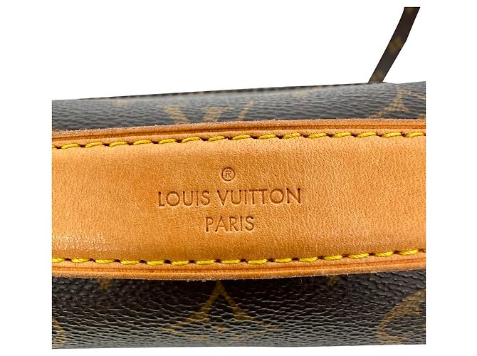 Borsa a tracolla Louis Vuitton Pochette Métis in canvas rivestito marrone Rosso - vista 9